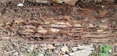 Mug-A-Bug Pest & Termite Control