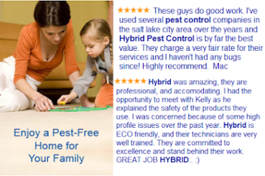 Hybrid Pest Control