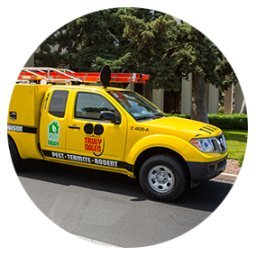 Truly Nolen Pest &amp; Termite Control - Tallahassee