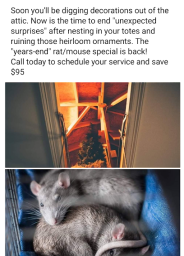 White Out Termite and Pest Control