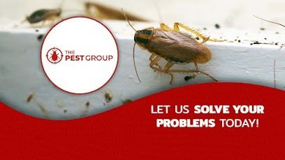 The PEST Group