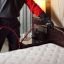 Bed Bug Exterminator Toledo Bed Bug Exterminator Toledo