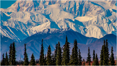 Eagle Pest Control & Tree Service