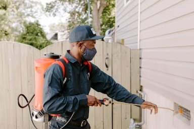 Fox Pest Control Baton Rouge