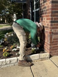 Safe Pro Pest Control - Frisco