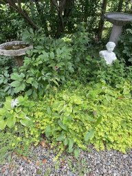 Fenix Pest Control, Inc.