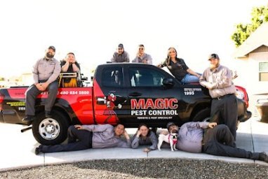 Magic Pest Control