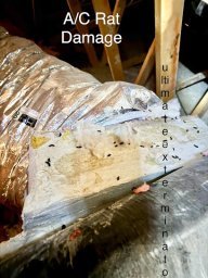 Ultimate Exterminators Pest &amp; Termite Control