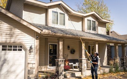 Rainbow Pest Experts