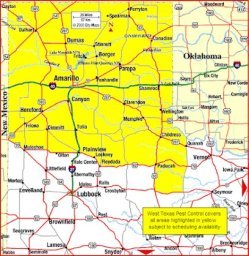West Texas Pest Control