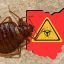 Bed Bug Exterminator Columbus Bed Bug Exterminator Columbus