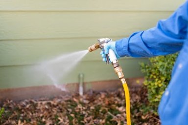 Compass Pest Management