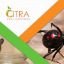Citra Pest Control Citra Pest Control