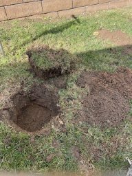 Southland Pest Control