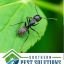 Southern Pest Solutions, Inc Southern Pest Solutions, Inc