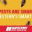 Western Pest Services