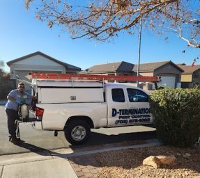 D-Termination pest control