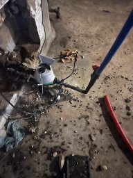 Newark Exterminator Last Stop Pest Control