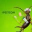 Pestcom Pest Management Pestcom Pest Management