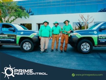 Prime Pest Control Las Vegas