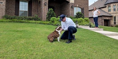 Moxie Pest Control Moxie Pest Control