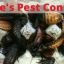 Luke's Pest Control