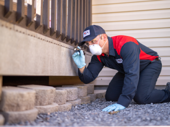 Fox Pest Control Orchard Park