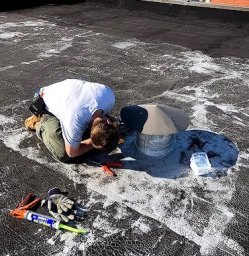 Quality Pro Pest &amp; Wildlife Services 0